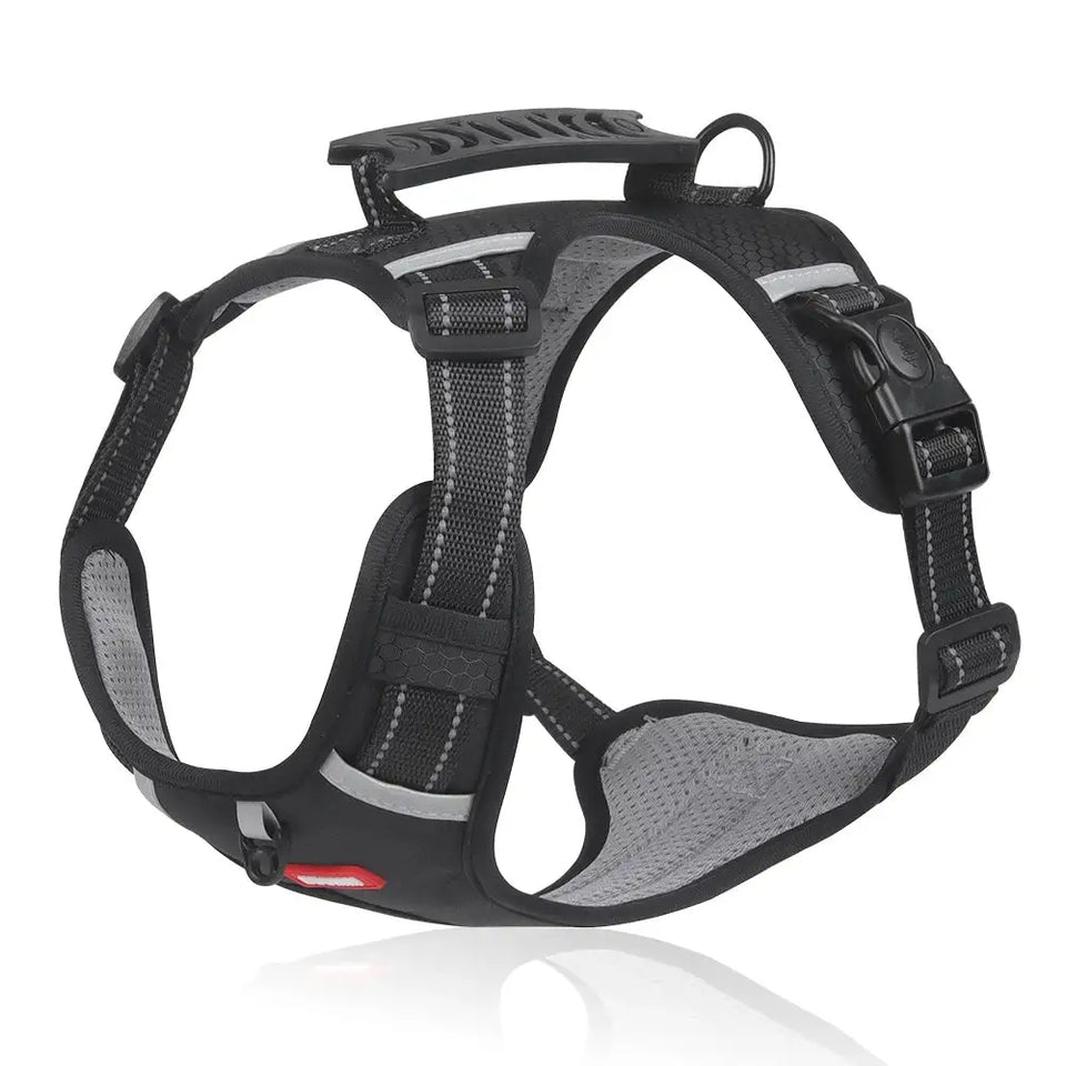 Reflective Stress- Relieving Harness | Rowkoly