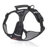 Reflective Stress- Relieving Harness | Rowkoly